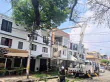 En lo corrido de 2025 se han recuperado m&aacute;s de 1000 &aacute;rboles en Cali: el Dagma lidera un plan estrat&eacute;gico de mantenimiento arb&oacute;reo