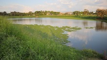 Charco Azul y El Pondaje: un proyecto integral para transformar el  h&aacute;bitat en Cali