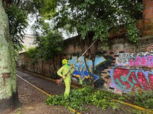 Cali fortalece la seguridad en sus parques con poda de &aacute;rboles y las cuadrillas de zonas verdes de Promo Valle