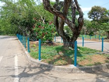 A Cali la estamos recuperando: &iexcl;as&iacute; luce el barrio El Caney!