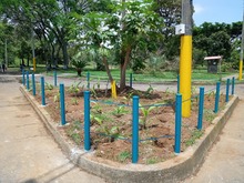 A Cali la estamos recuperando: &iexcl;as&iacute; luce el barrio El Caney!