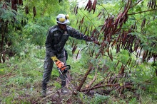 4500 m&sup2; para la comunidad en Ciudad C&oacute;rdoba, restituidos por la Alcald&iacute;a de Cali