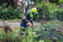 4500 m&sup2; para la comunidad en Ciudad C&oacute;rdoba, restituidos por la Alcald&iacute;a de Cali