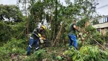 Alcald&iacute;a de Cali realiz&oacute; gran jornada de recuperaci&oacute;n, limpieza y  embellecimiento en la Comuna 15