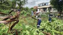 Alcald&iacute;a de Cali realiz&oacute; gran jornada de recuperaci&oacute;n, limpieza y  embellecimiento en la Comuna 15