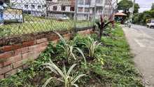 Alcald&iacute;a de Cali realiz&oacute; gran jornada de recuperaci&oacute;n, limpieza y  embellecimiento en la Comuna 15