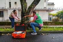 La ciudadan&iacute;a, apoyo vital para la gesti&oacute;n del Dagma en la protecci&oacute;n y  mantenimiento del arbolado de Cali