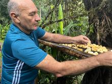 M&aacute;s de 350 especies de aves alberga el &lsquo;Para&iacute;so de los Colibr&iacute;es&rsquo;: santuario de la naturaleza en Cali que requiere tu ayuda