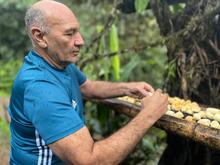 M&aacute;s de 350 especies de aves alberga el &lsquo;Para&iacute;so de los Colibr&iacute;es&rsquo;: santuario de la naturaleza en Cali que requiere tu ayuda