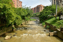 Fundaci&oacute;n Zool&oacute;gica de Cali, adelantar&aacute; la gesti&oacute;n y conservaci&oacute;n del  corredor ecol&oacute;gico de la ribera del r&iacute;o Cali