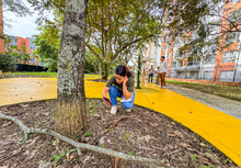 M&aacute;s de 3000 m2 fortalecen las zonas verdes para la ciudadan&iacute;a en la comuna 17