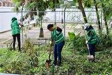 M&aacute;s espacios recuperados: Alcald&iacute;a de Cali renueva el parque de  F&aacute;tima en la Comuna 4