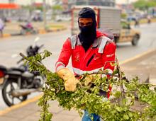 &ldquo;Estamos poniendo el alma y el coraz&oacute;n para hacer de Cali una ciudad m&aacute;s bonita&rdquo;: secretaria Maritza Aponz&aacute;