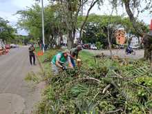Cuadrillas del Dagma contribuyen al mejoramiento de la seguridad vial en Cali