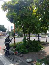 Cuadrillas del Dagma contribuyen al mejoramiento de la seguridad vial en Cali