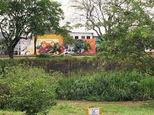 Fundaci&oacute;n Zool&oacute;gica de Cali asume el mantenimiento del Parque Lineal R&iacute;o Cali