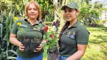 Gran jornada de &lsquo;Distrito m&aacute;s Verde&rsquo; se realiz&oacute; con &eacute;xito en la Comuna 17 de Cali