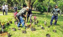 Gran jornada de &lsquo;Distrito m&aacute;s Verde&rsquo; se realiz&oacute; con &eacute;xito en la Comuna 17 de Cali