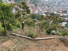M&aacute;s de 90 hect&aacute;reas de zona rural han sido recuperadas por los corregidores de Cali