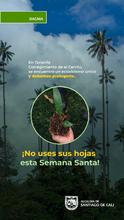 El Dagma lidera acciones para preservar la naturaleza con miras a Semana Santa: se entregar&aacute;n 2000 plantas ornamentales 