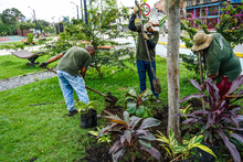 El Bulevar de Oriente tiene operador: as&iacute; se recupera a Cali