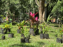 Administraci&oacute;n Distrital avanza en la recuperaci&oacute;n de espacios p&uacute;blicos: el parque de Mayap&aacute;n es ejemplo de transformaci&oacute;n colectiva