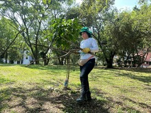 Administraci&oacute;n Distrital avanza en la recuperaci&oacute;n de espacios p&uacute;blicos: el parque de Mayap&aacute;n es ejemplo de transformaci&oacute;n colectiva