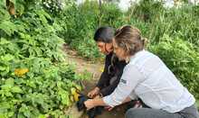 M&aacute;s de 870 liberaciones de fauna silvestre se han realizado en Cali  durante 2025: Dagma