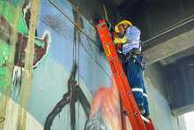 Con la estrategia &lsquo;Volvamos a mi Cali Bella, la Alcald&iacute;a lider&oacute; una jornada para recuperar el &lsquo;para&iacute;so del chontaduro&rsquo;