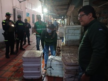 Autoridades ambientales incautan piel y caparaz&oacute;n de animales silvestres en el centro de Cali