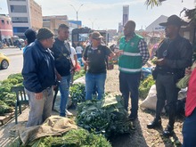 Autoridades ambientales incautan piel y caparaz&oacute;n de animales silvestres en el centro de Cali