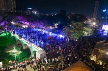 &lsquo;Marat&oacute;n de Cali 2025&rsquo;: un gran impacto econ&oacute;mico y tur&iacute;stico para la &lsquo;Capital Deportiva de Am&eacute;rica&rsquo;