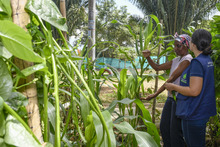 Las huertas comunitarias de los comedores promueven el cuidado del medio ambiente en los territorios