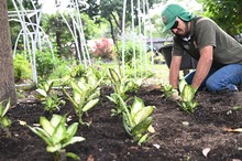 El Dagma se pone la camiseta de la &lsquo;Marat&oacute;n de Cali 2025&rsquo;: autoridad ambiental despliega un plan de ajardinamiento en la ciudad 