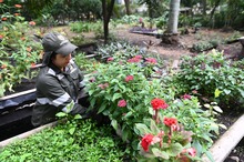 El Dagma se pone la camiseta de la &lsquo;Marat&oacute;n de Cali 2025&rsquo;: autoridad ambiental despliega un plan de ajardinamiento en la ciudad 