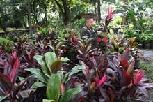 El Dagma se pone la camiseta de la &lsquo;Marat&oacute;n de Cali 2025&rsquo;: autoridad ambiental despliega un plan de ajardinamiento en la ciudad 