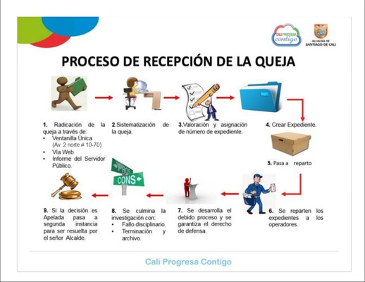 nuevo paso a paso 2019