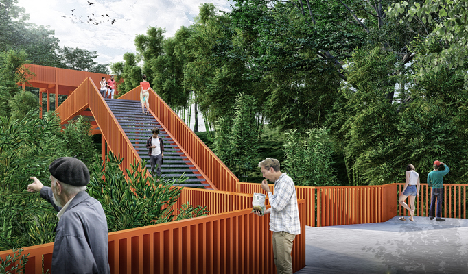 23_ESCALERA ENTRE BAMBU