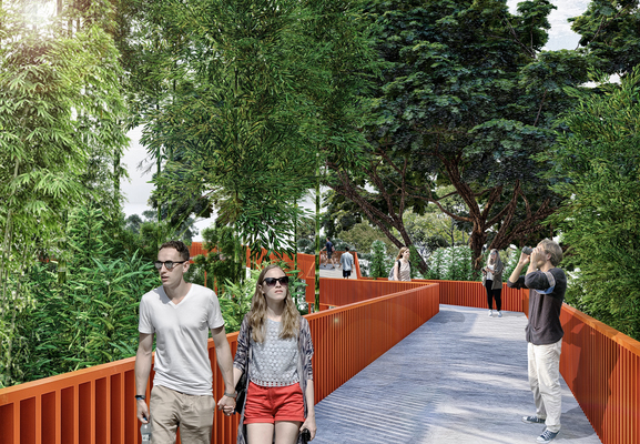 22_SENDERO ENTRE BAMBU