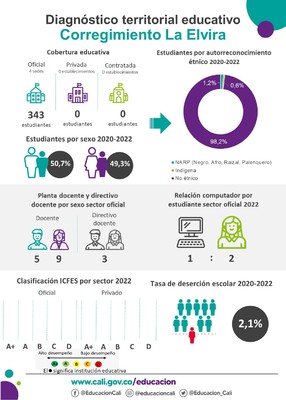 Infograf&iacute;a diagn&oacute;stico terrritorial educativo de La Elvira