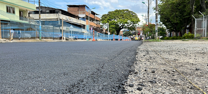 V&iacute;as principales que se intervendr&aacute;n ma&ntilde;ana 22 de noviembre, D&iacute;a sin Carro en Cali