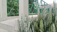 Embellecen puentes peatonales de la comuna 5 en Cali