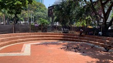 Plazoleta Bellas Artes, un espacio que se pinta de violeta para las mujeres