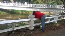 Embellecen murales alrededor del Bulevar del R&iacute;o para eventos de ciudad