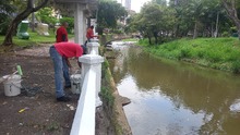 Embellecen murales alrededor del Bulevar del R&iacute;o para eventos de ciudad