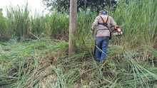 Con mingas y mucho cari&ntilde;o, habitantes de los corregimientos se unen a la Secretar&iacute;a de Infraestructura para recuperar sus v&iacute;as rurales