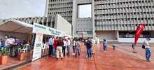Contin&uacute;an descuentos del Papayazo Tributario para pago de multas de tr&aacute;nsito