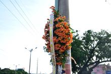 Cali se cubre de flores para conmemorar el &lsquo;D&iacute;a Mundial en Memoria de las V&iacute;ctimas de Siniestros Viales&rsquo;