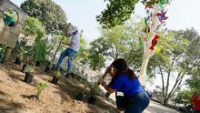 En 2024, los cale&ntilde;os unieron voluntades para trabajar por una Cali m&aacute;s bella