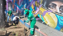 En 2025, contin&uacute;a en firme el compromiso de los cale&ntilde;os de trabajar juntos por una Cali m&aacute;s bella